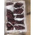 China Yunnan Red globe grape for export Philippines import red grape